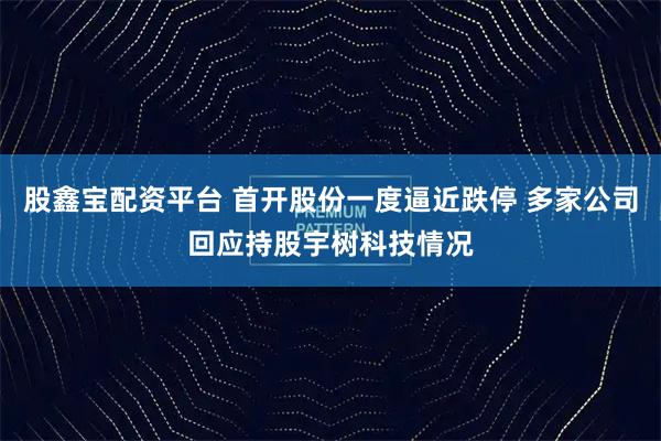 股鑫宝配资平台 首开股份一度逼近跌停 多家公司回应持股宇树科技情况