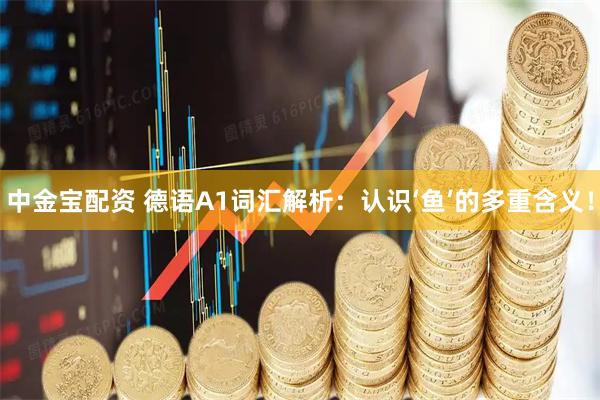 中金宝配资 德语A1词汇解析：认识‘鱼’的多重含义！