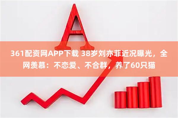 361配资网APP下载 38岁刘亦菲近况曝光，全网羡慕：不恋爱、不合群，养了60只猫