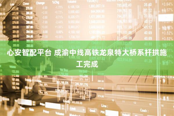 心安智配平台 成渝中线高铁龙泉特大桥系杆拱施工完成