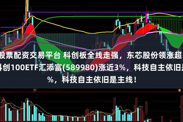 股票配资交易平台 科创板全线走强，东芯股份领涨超15%，科创100ETF汇添富(589980)涨近3%，科技自主依旧是主线！
